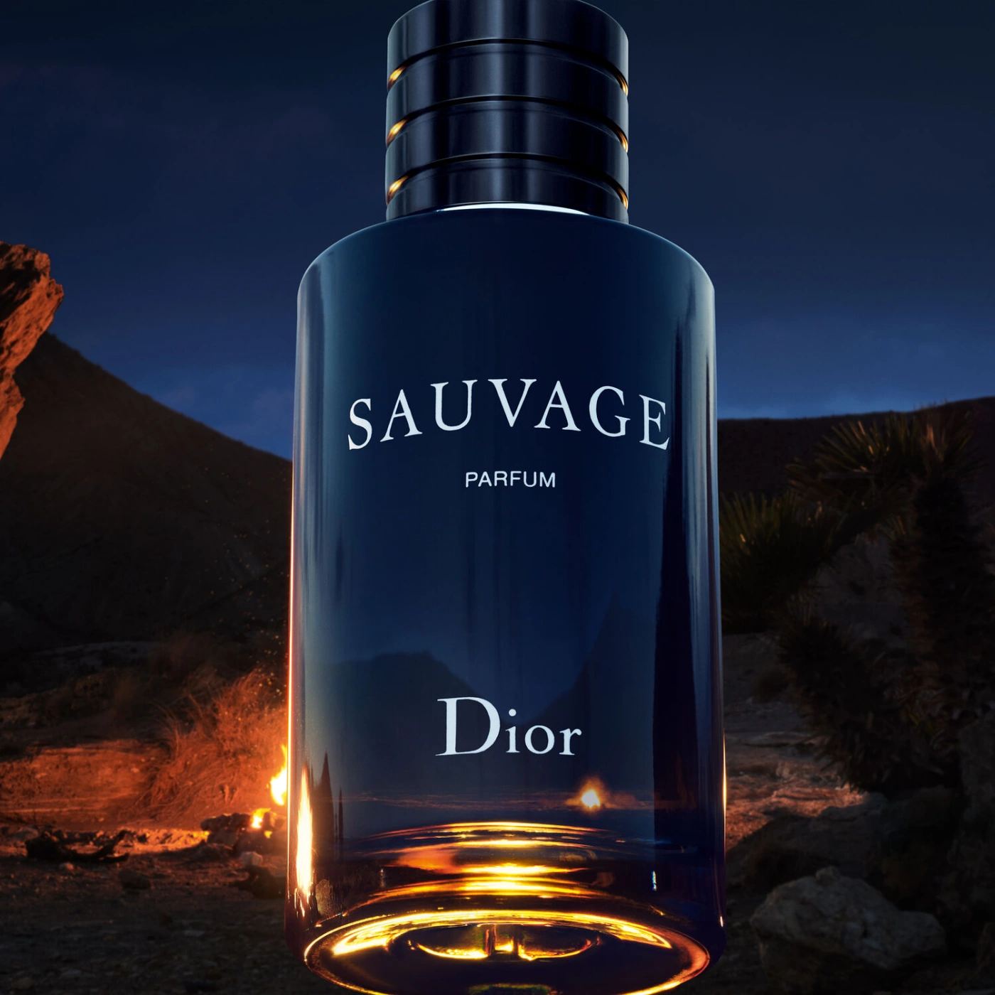 DIOR SAUVAGE PARFUM 60ML - 7