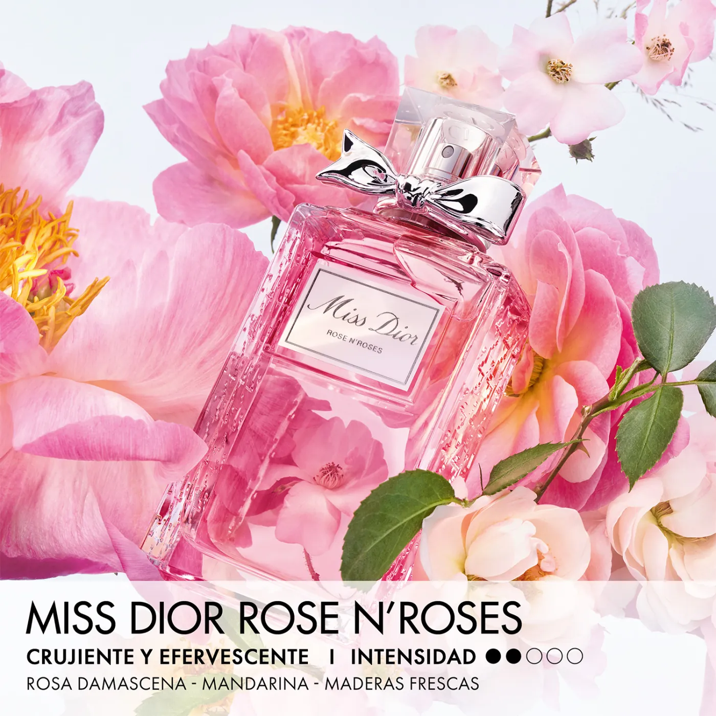 DIOR MISS DIOR ROSE N ROSES EAU DE TOILETTE 100ML - 3