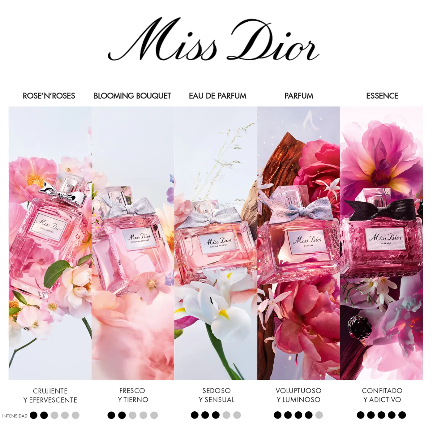 DIOR MISS DIOR ROSE N ROSES EAU DE TOILETTE 100ML - 4