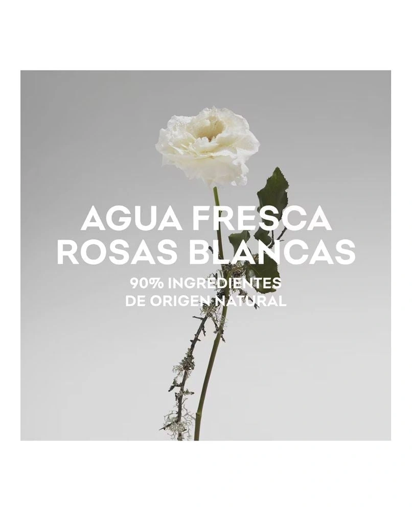 PERFUME ADOLFO DOMINGUEZ AGUA FRESCA DE ROSAS BLANCAS MUJER EDT 120 ML - 4