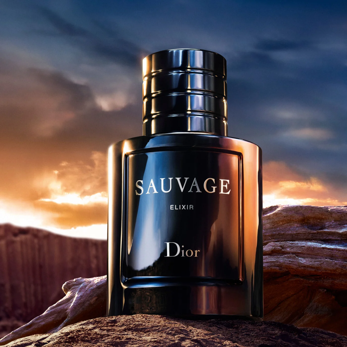 DIOR SAUVAGE ELIXIR PARFUM 60ML - 7