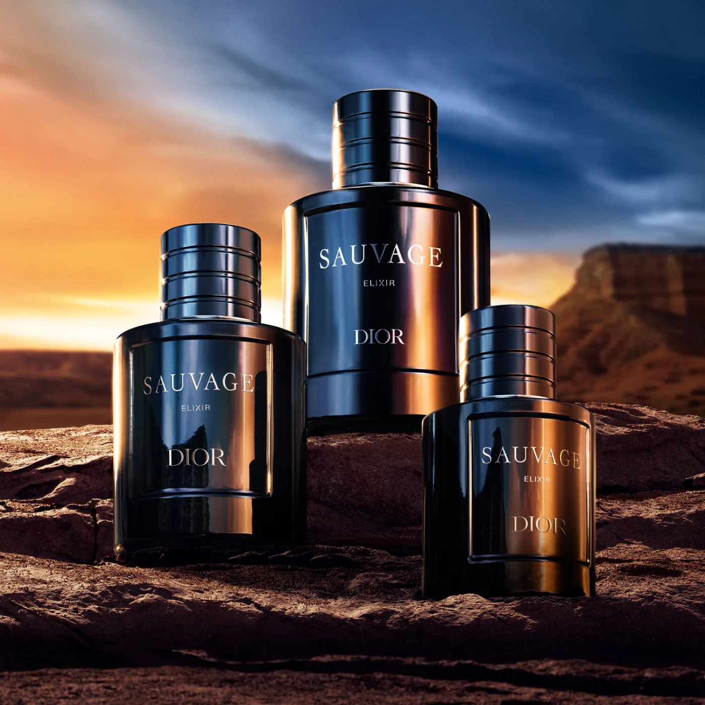 DIOR SAUVAGE ELIXIR PARFUM 60ML - 8