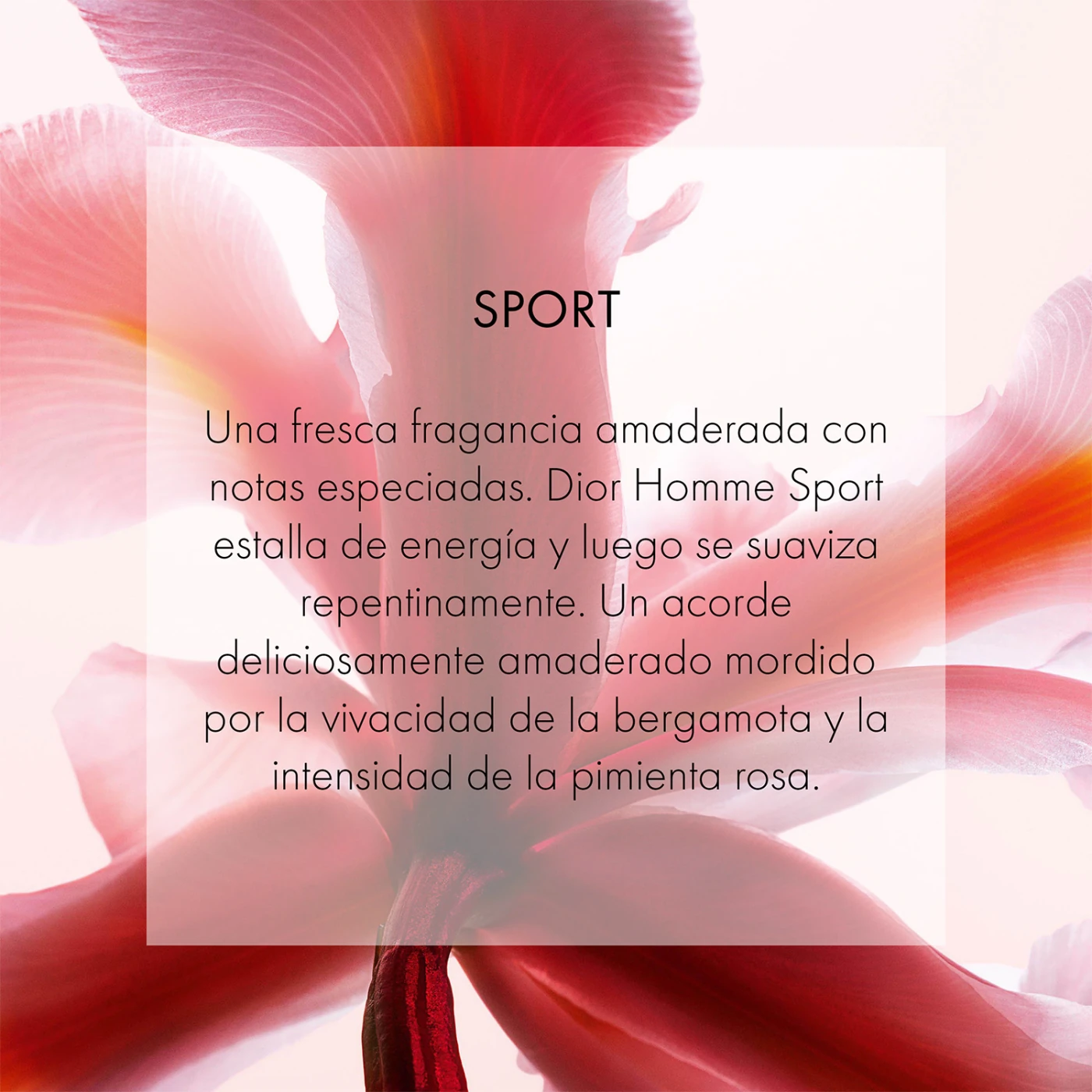 DIOR HOMME SPORT EAU DE TOILETTE 125ML - 4