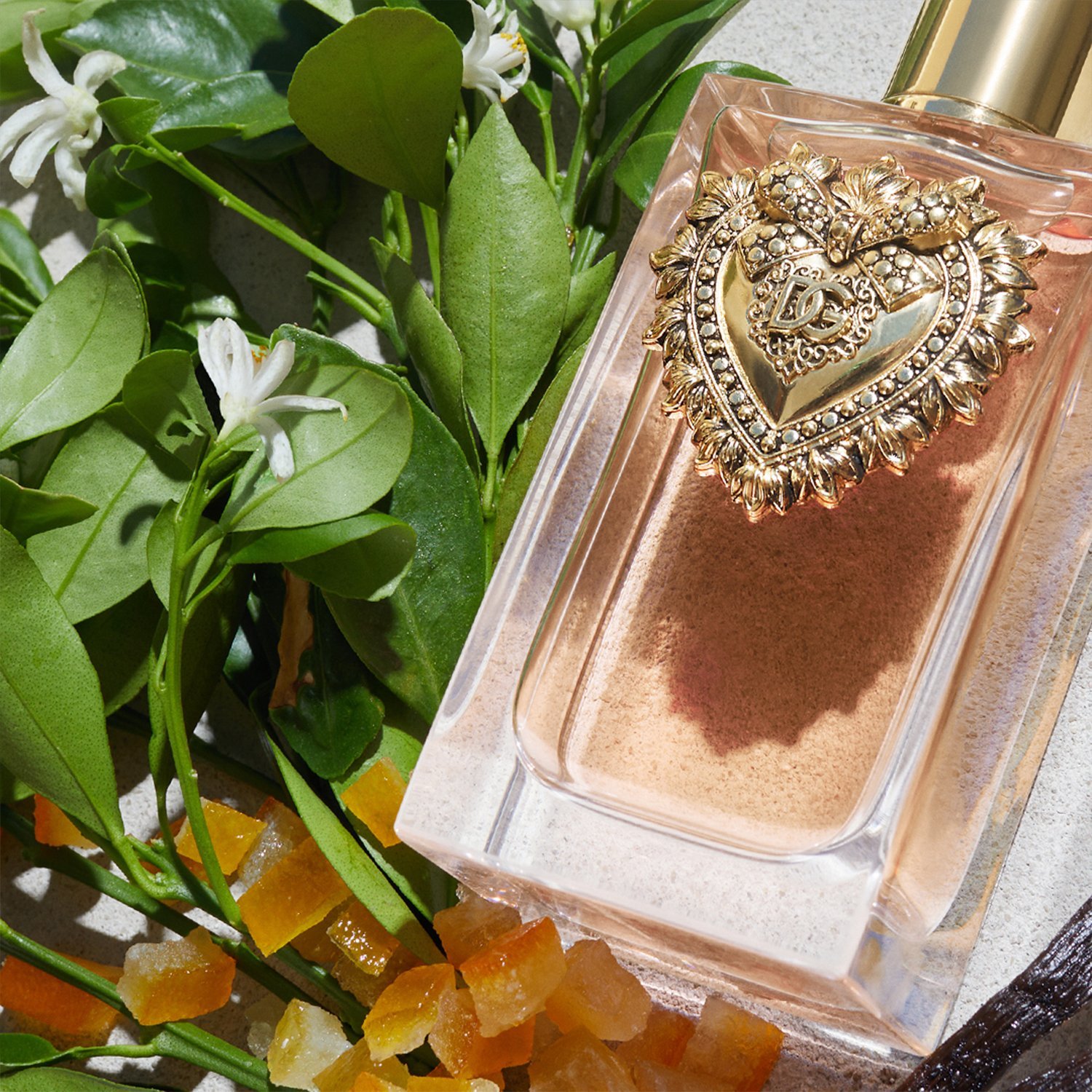 PERFUME DOLCE&GABBANA DEVOTION MUJER EDP 50 ML - 5