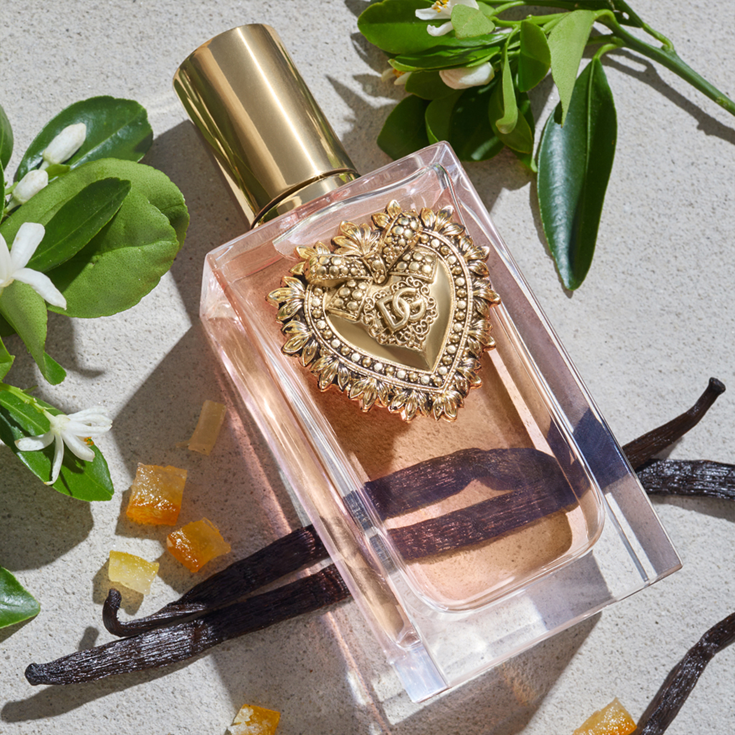PERFUME DOLCE&GABBANA DEVOTION MUJER EDP 50 ML - 6