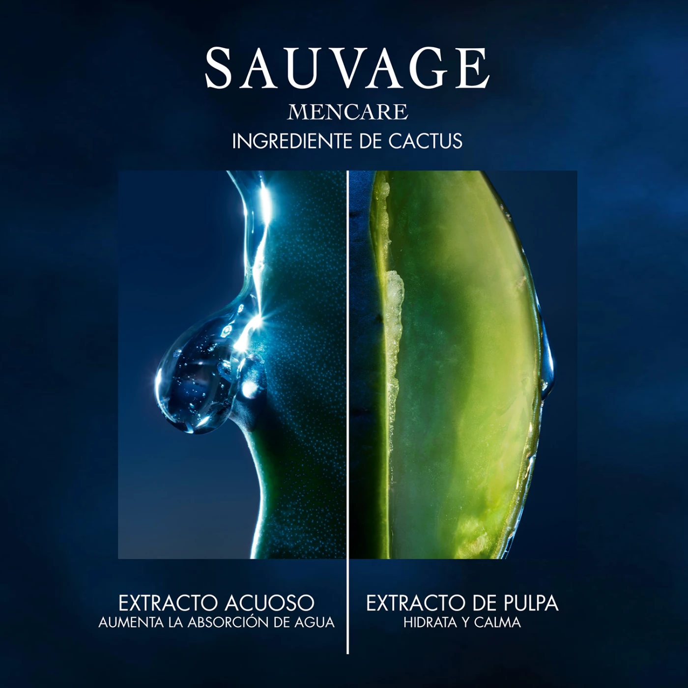 Dior Sauvage Loción 100ml - 5