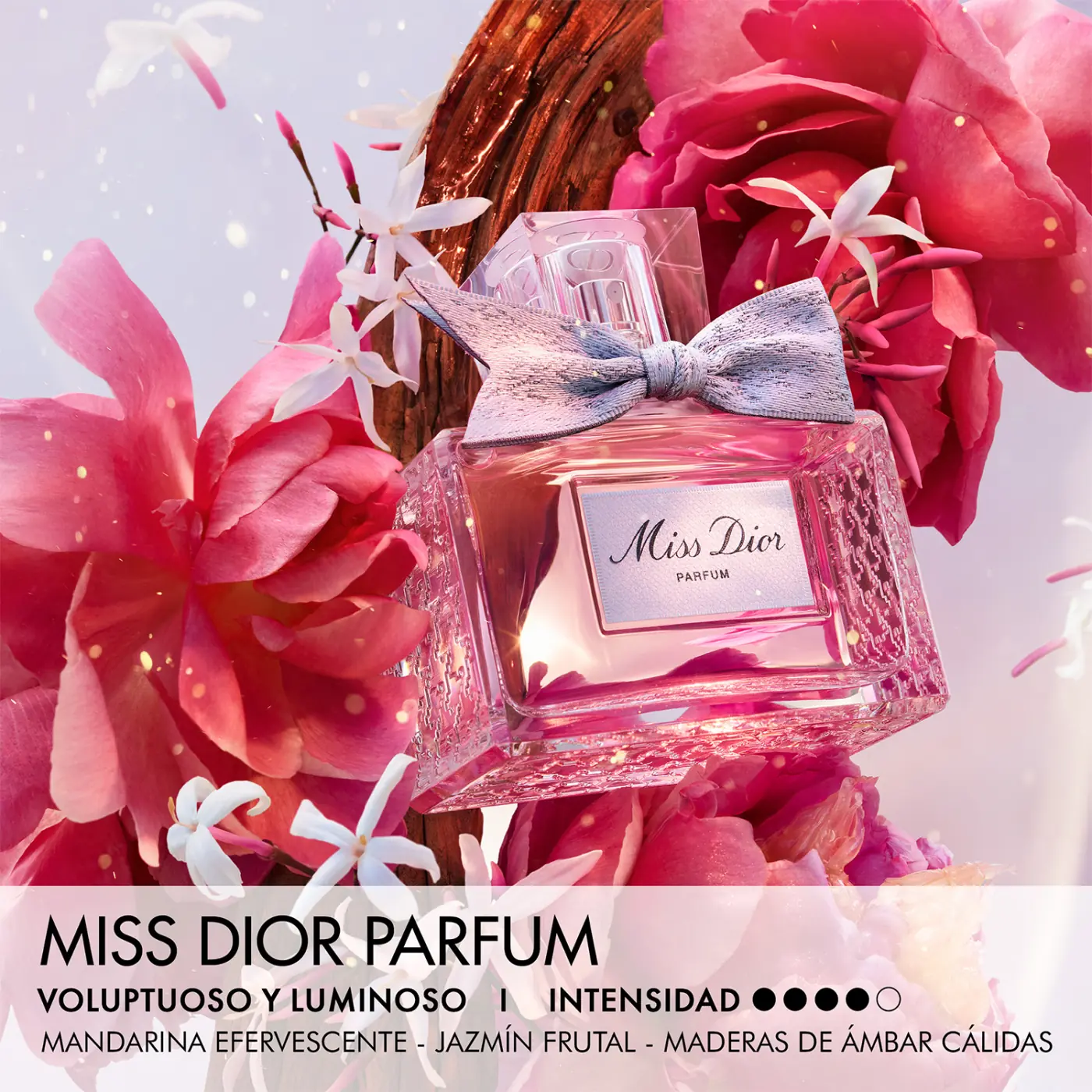 DIOR MISS DIOR PARFUM 50ML - 3