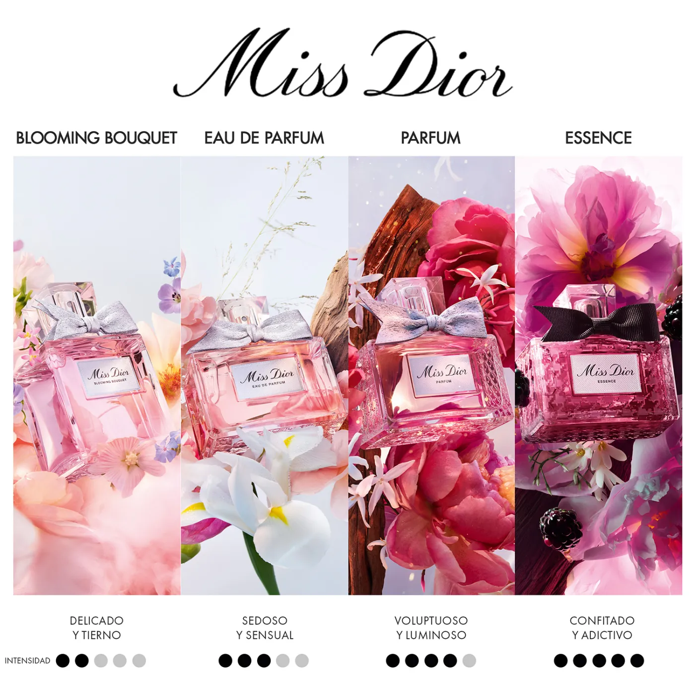 DIOR MISS DIOR PARFUM 50ML - 6