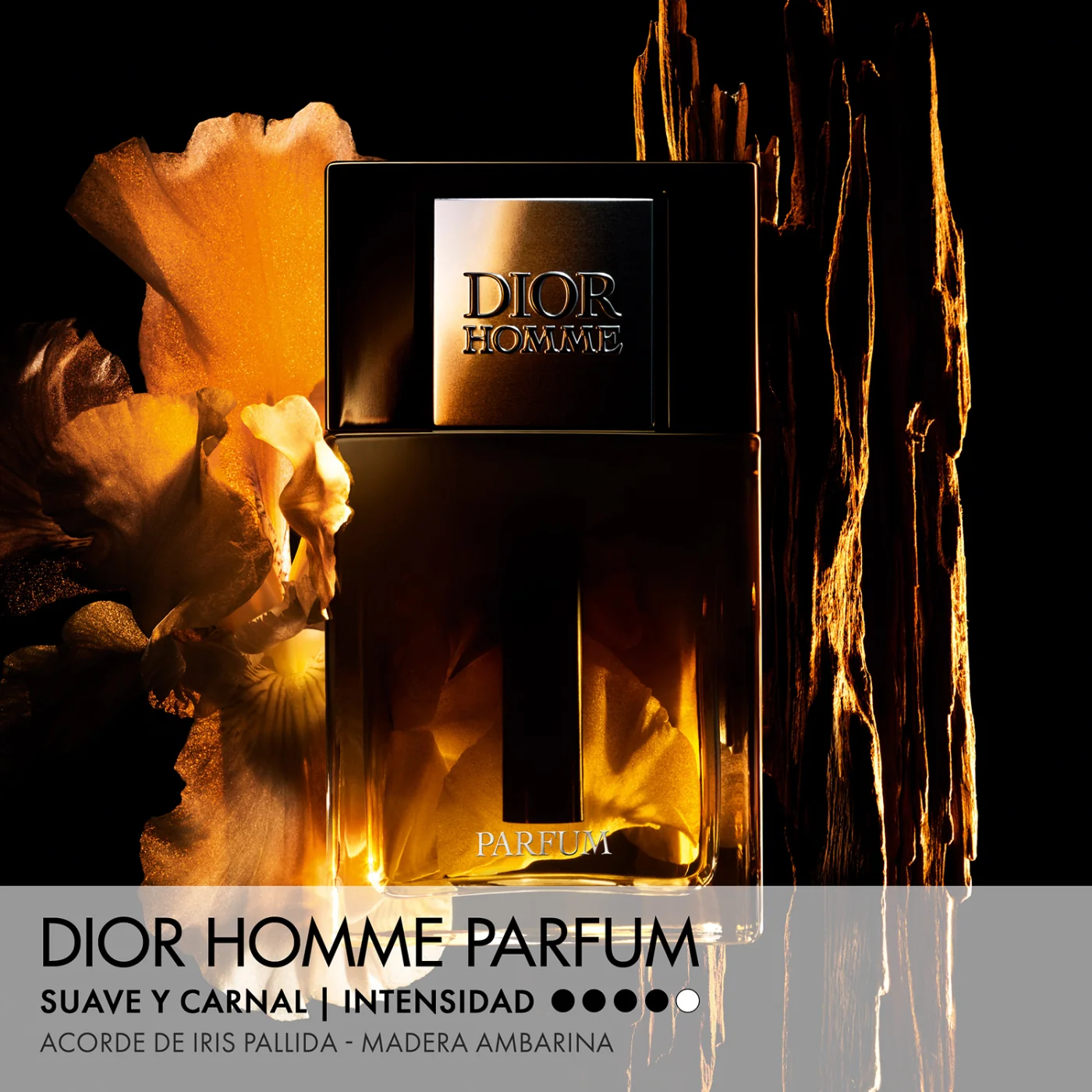 DIOR HOMME PARFUM 50ML - 3