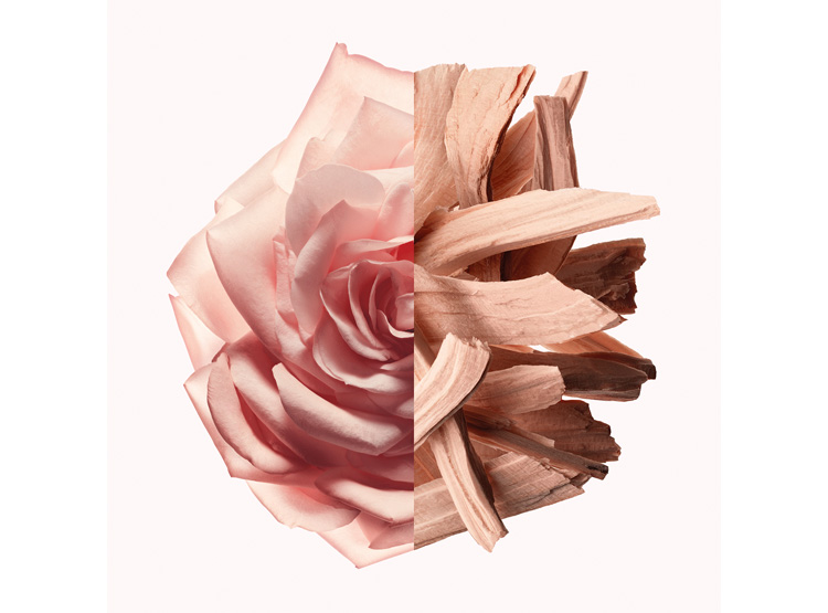 PERFUME GIVENCHY IRRESISTIBLE NUDE VELVET MUJER EDP 80 ML - 5