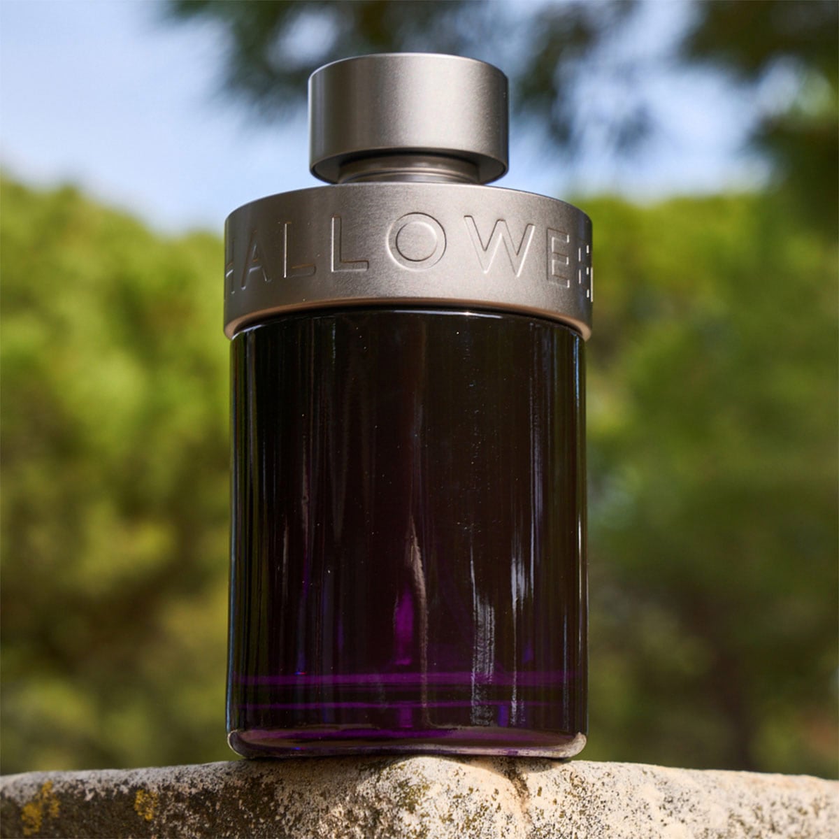 PERFUME HALLOWEEN HOMBRE EDT 75 ML - 3