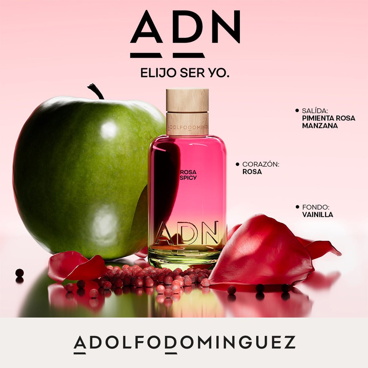 PERFUME ADOLFO DOMINGUEZ ADN ROSA SPICY UNISEX EDP 100 ML - 5