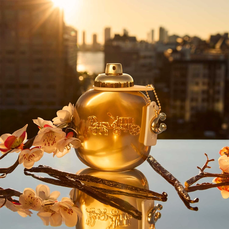 PERFUME MUJER COACH GOLD PARFUM 90ML - 3