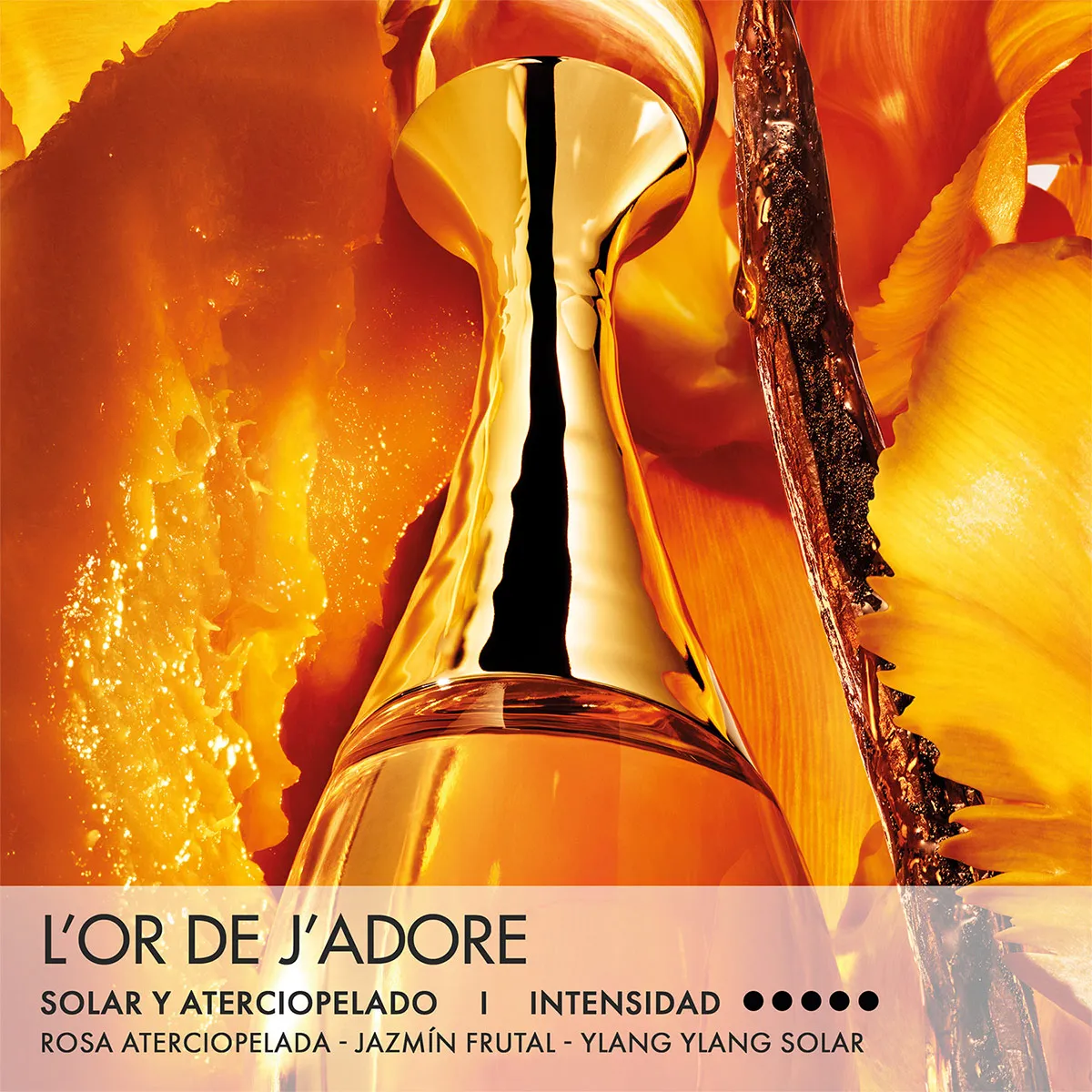 DIOR JADORE L'OR PARFUM SOLID 3.2G - 8