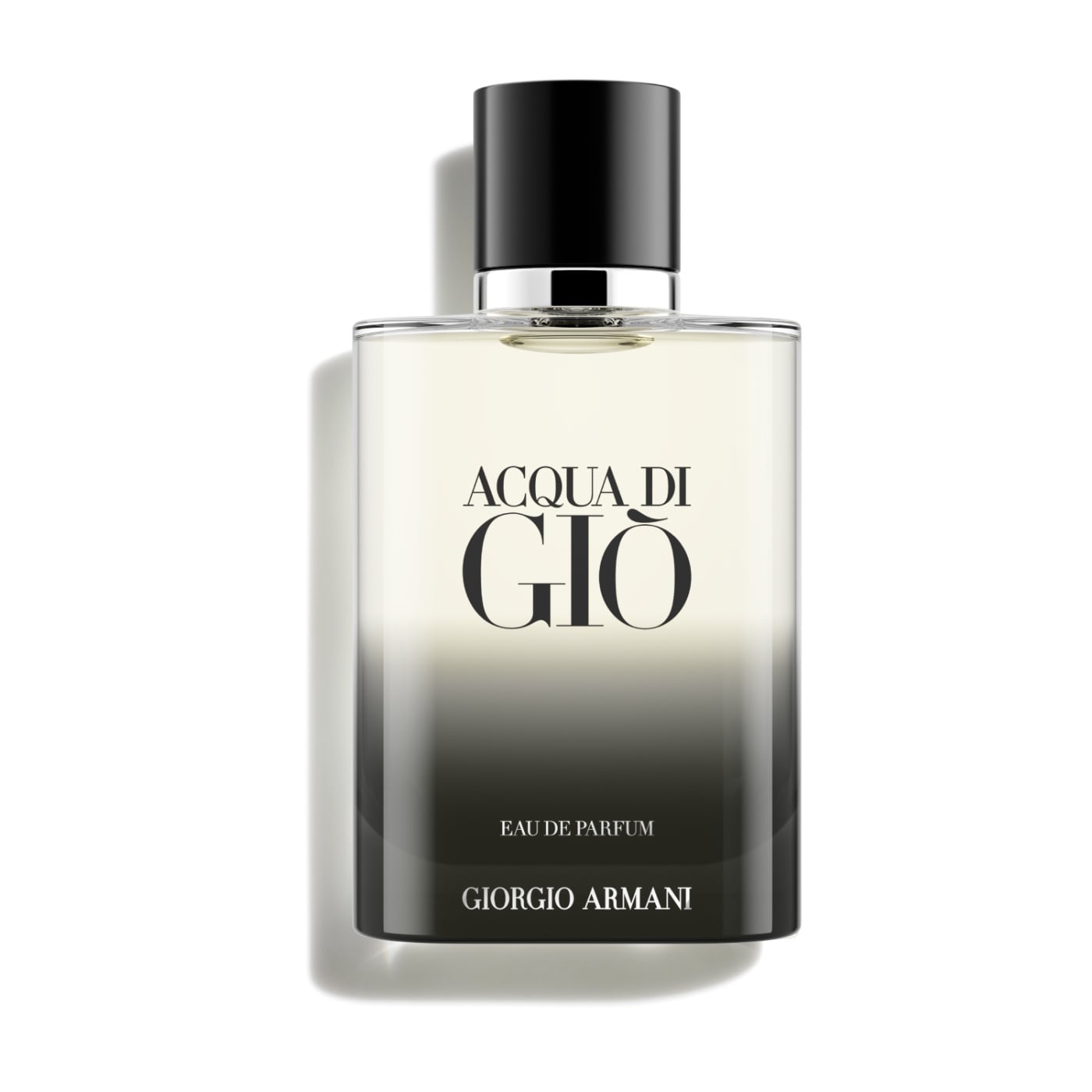 PERFUME GIORGIO ARMANI ACQUA DI GIO HOMBRE EDP 100 ML - 1