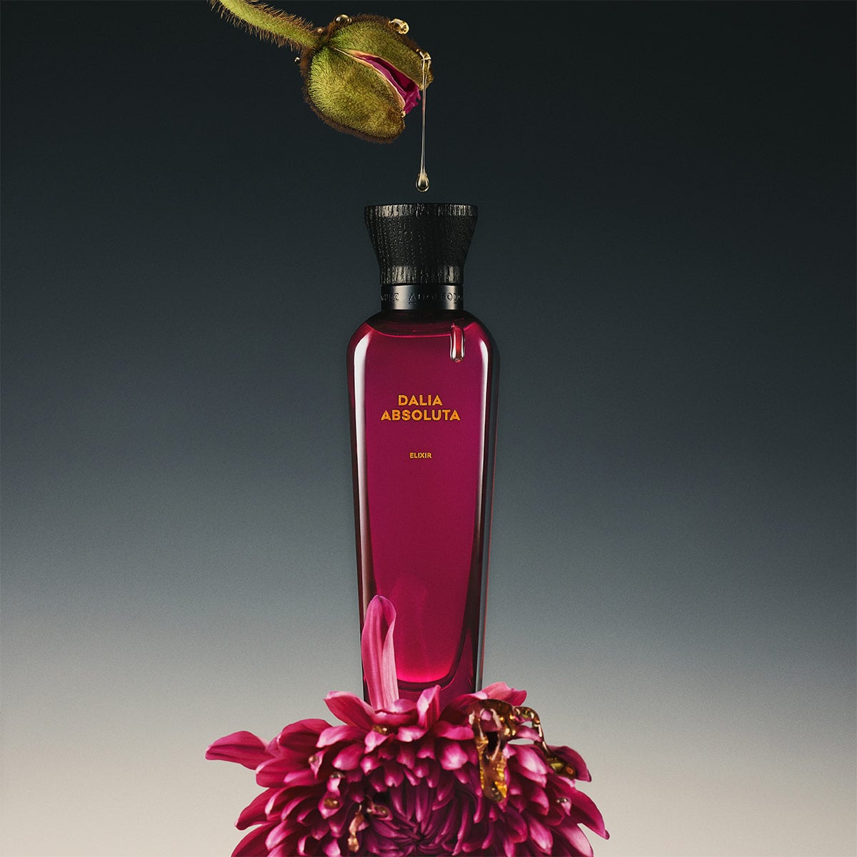 PERFUME ADOLFO DOMINGUEZ DALIA ABSOLUTA ELIXIR MUJER PARFUM 100ML - 3