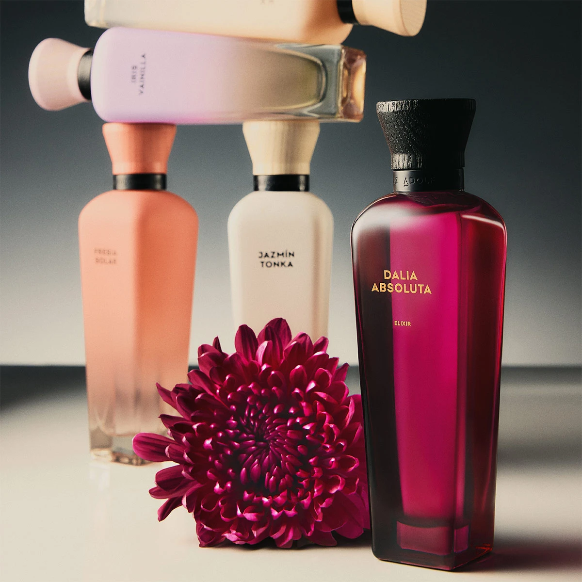 PERFUME ADOLFO DOMINGUEZ DALIA ABSOLUTA ELIXIR MUJER PARFUM 100ML - 4