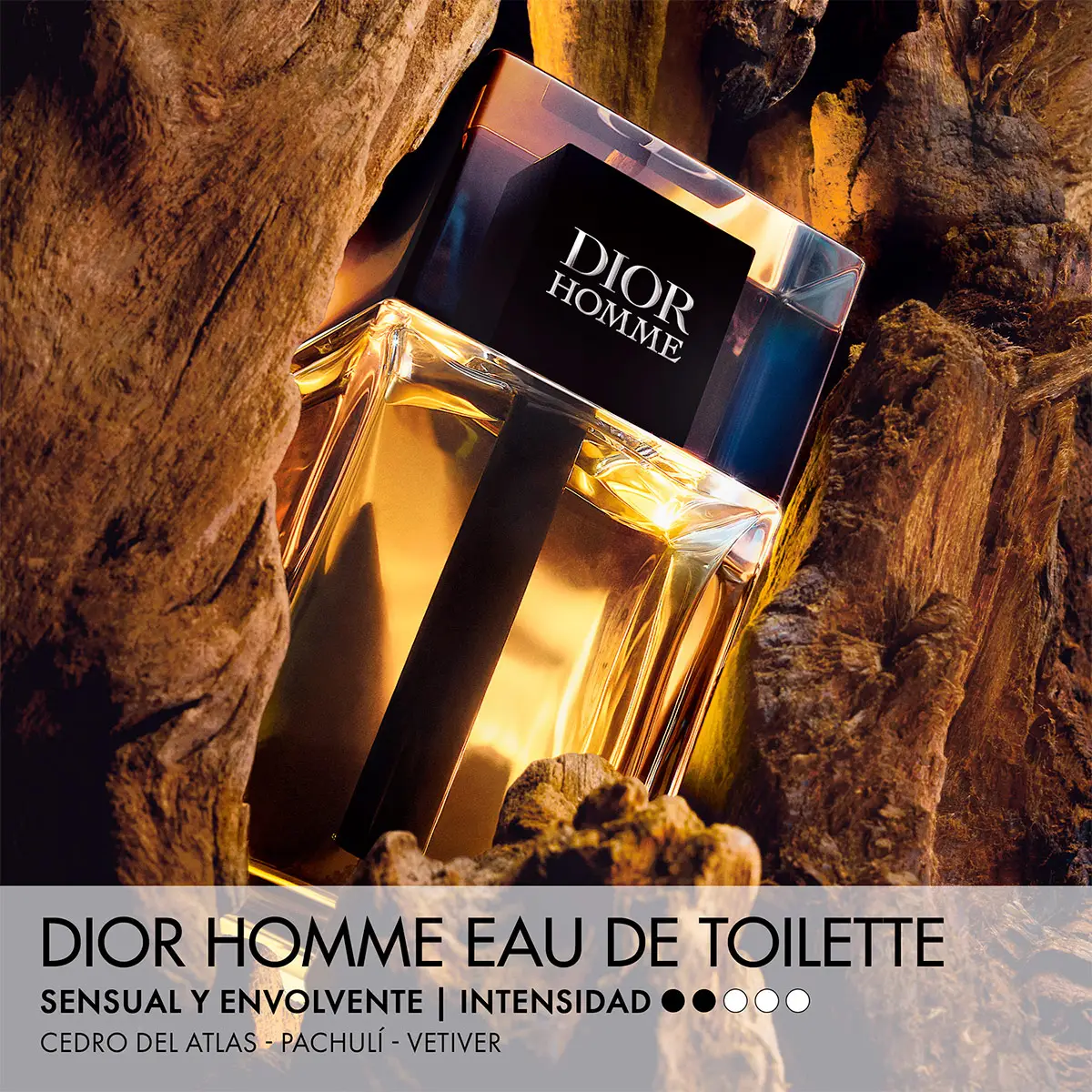 SET PERFUME DIOR HOMME EAU DE TOILETTE 100ML+10ML - 2