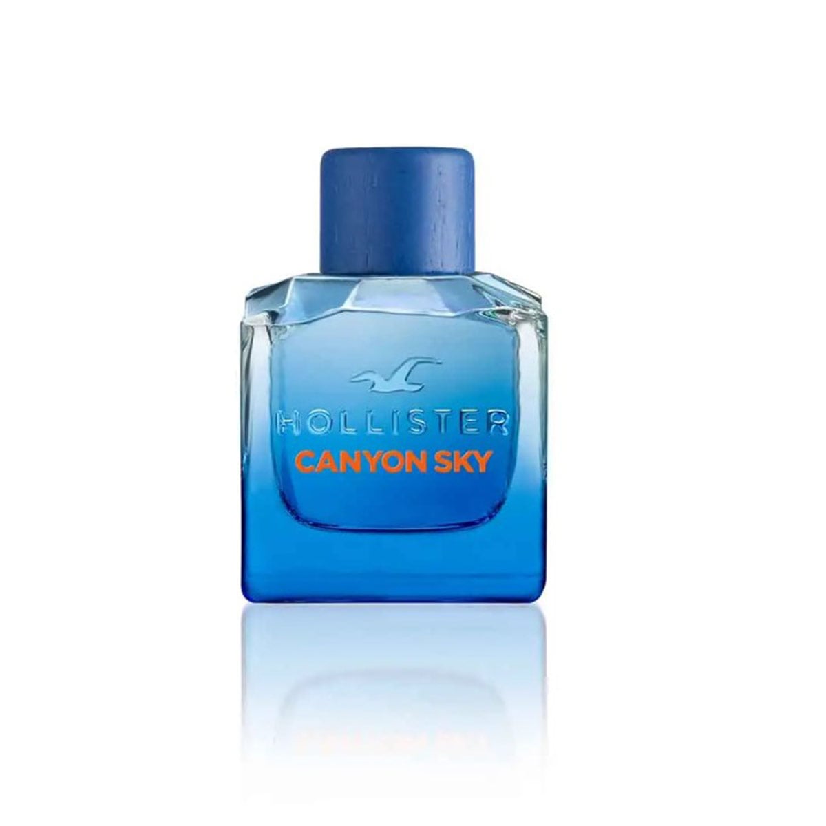 PERFUME HOLLISTER CANYON SKY HOMBRE EDT 50ML - 1