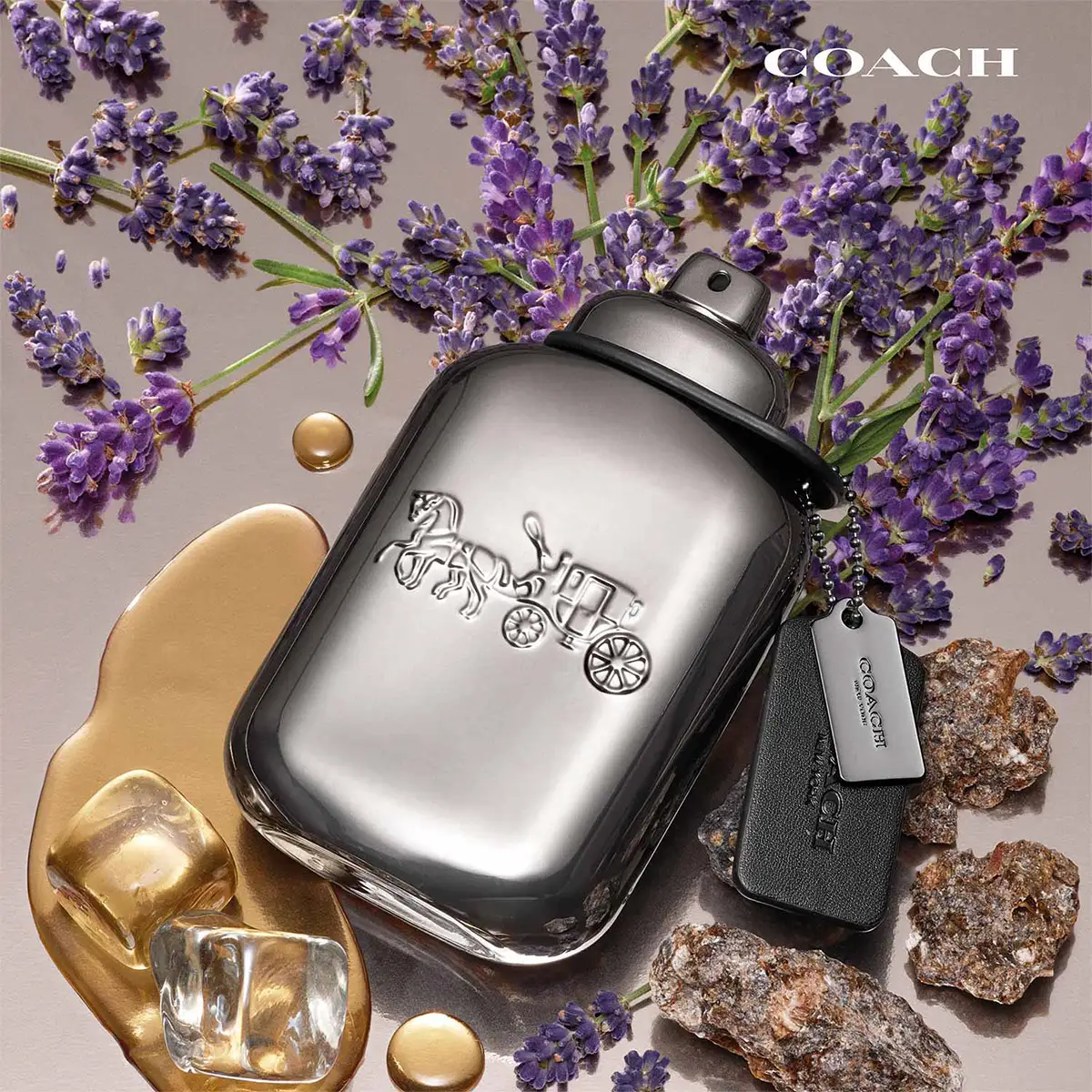 PERFUME COACH PURE PLATINUM HOMBRE PARFUM 40ML - 3