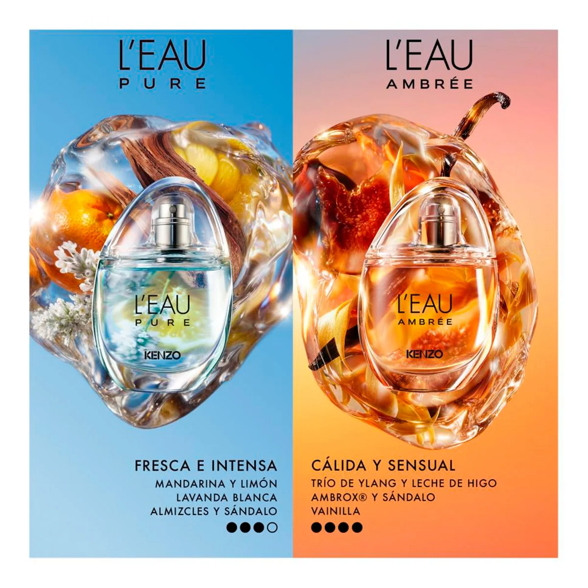 PERFUME KENZO L'EAU AMBRÉE UNISEX EDP 50ML - 3