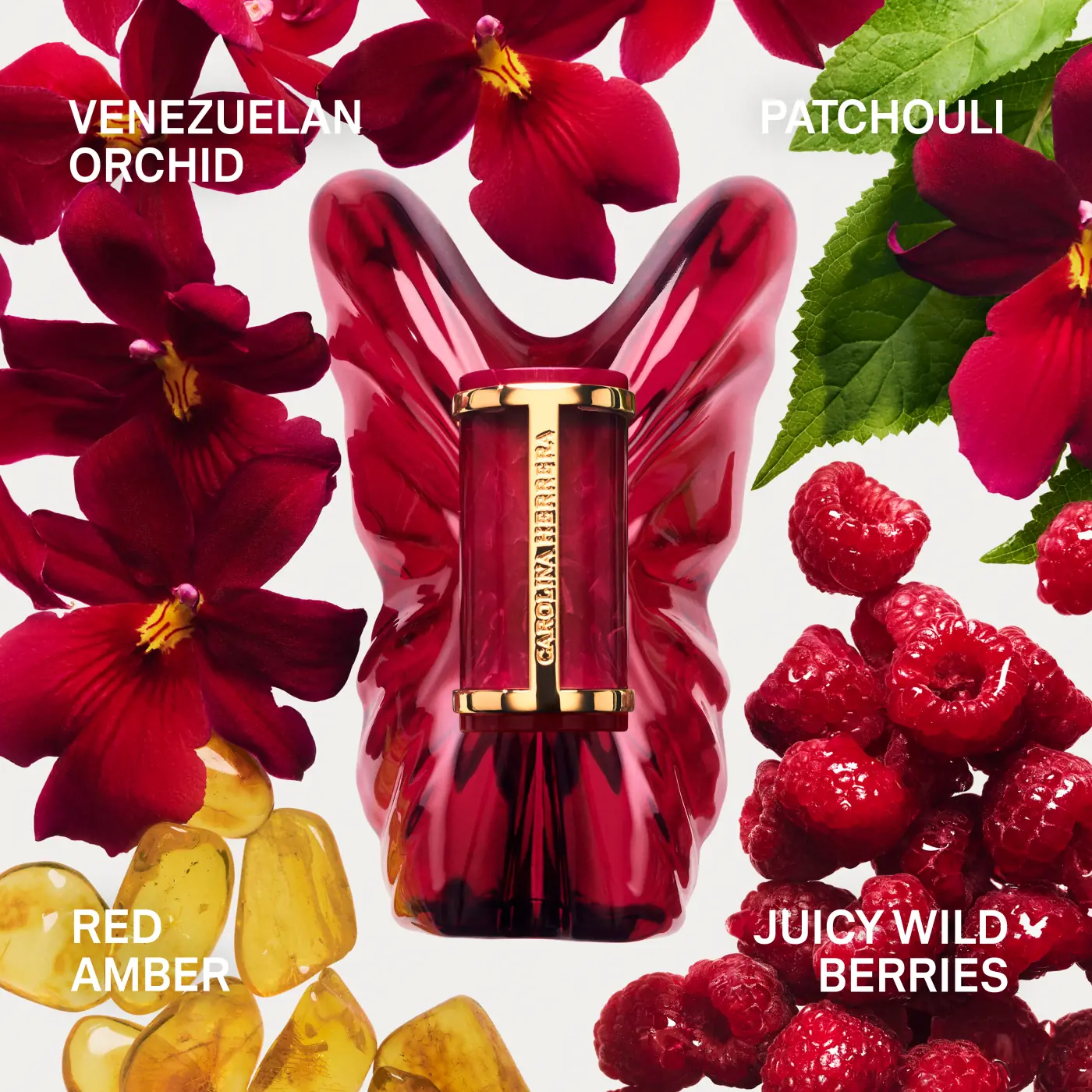 PERFUME CAROLINA HERRERA LA BOMBA INTENSA MUJER EDP 30 ML - 5
