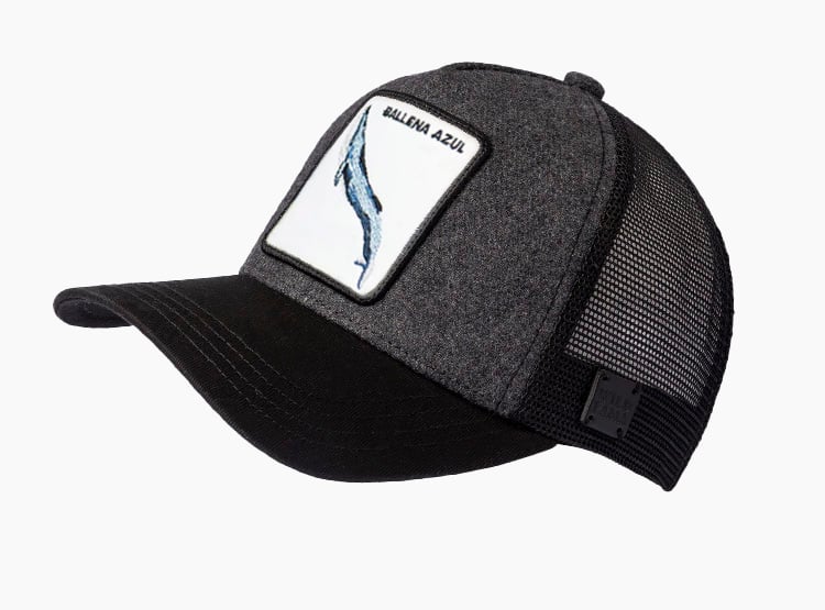 GORRO ALGODÓN ORGÁNICO WILD LAMA WOOL BALLENA JOCKEY GRIS - 2