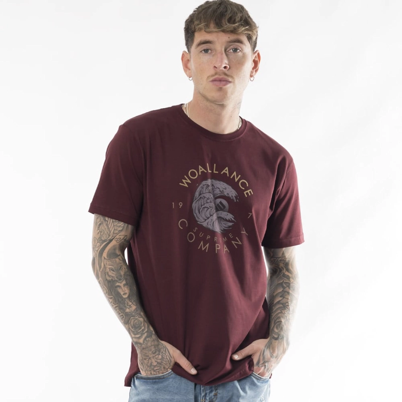 POLO MANGA CORTA ALGODÓN HOMBRE WOALLANCE CLASICO 029 H24 - 4