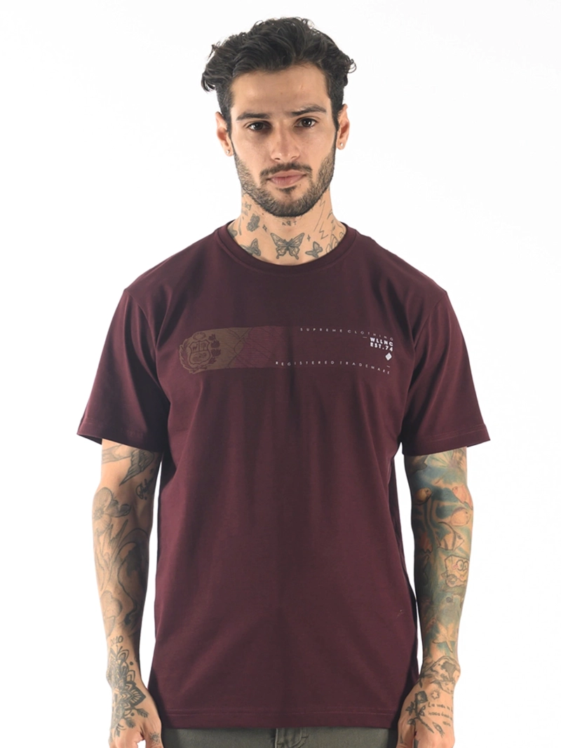 POLO MANGA CORTA ALGODÓN HOMBRE WOALLANCE CLASICO 114 H24 - 1