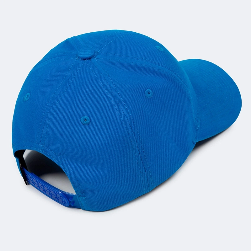 GORRA HOMBRE DUNKELVOLK DSTW V2 - 2