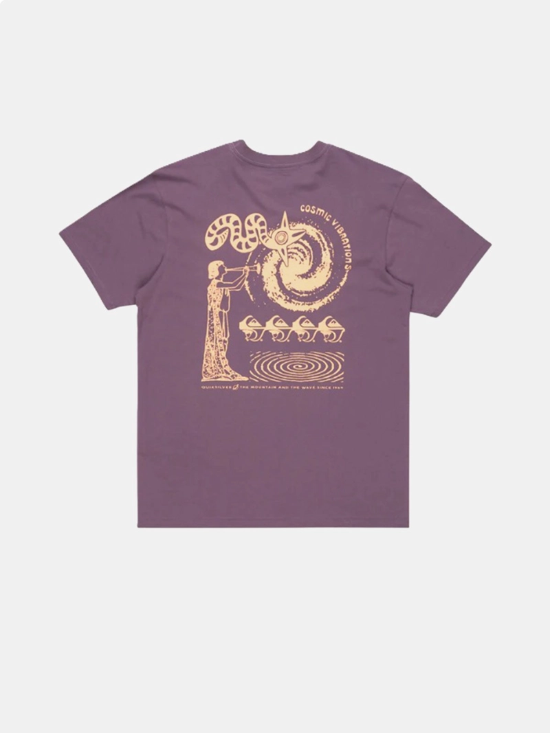 POLO ALGODÓN MANGA CORTA HOMBRE QUIKSILVER EV COSMIC VIBRATIONS SS MORADO - 5
