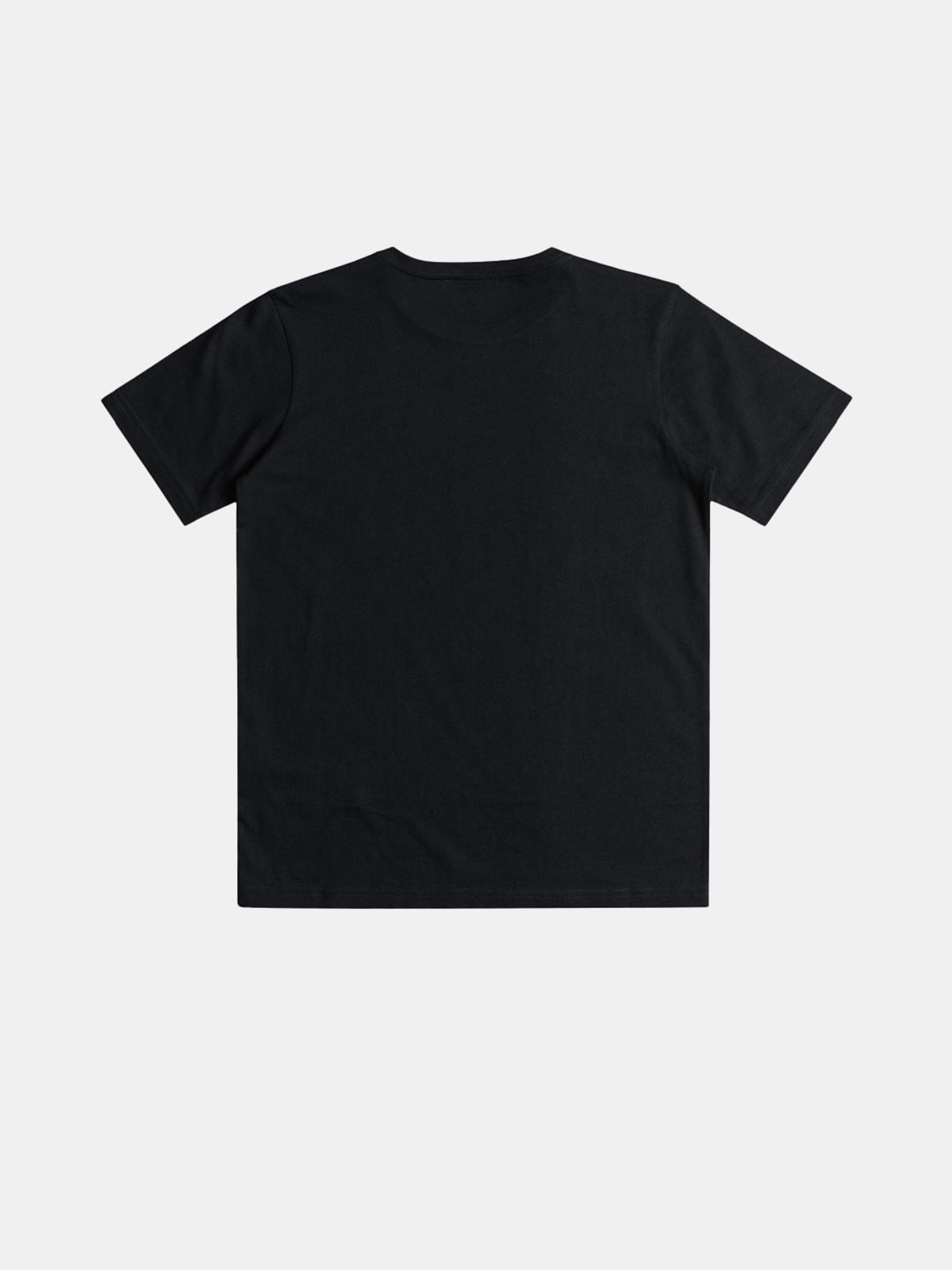 POLO MANGA CORTA ALGODÓN HOMBRE QUIKSILVER - 2