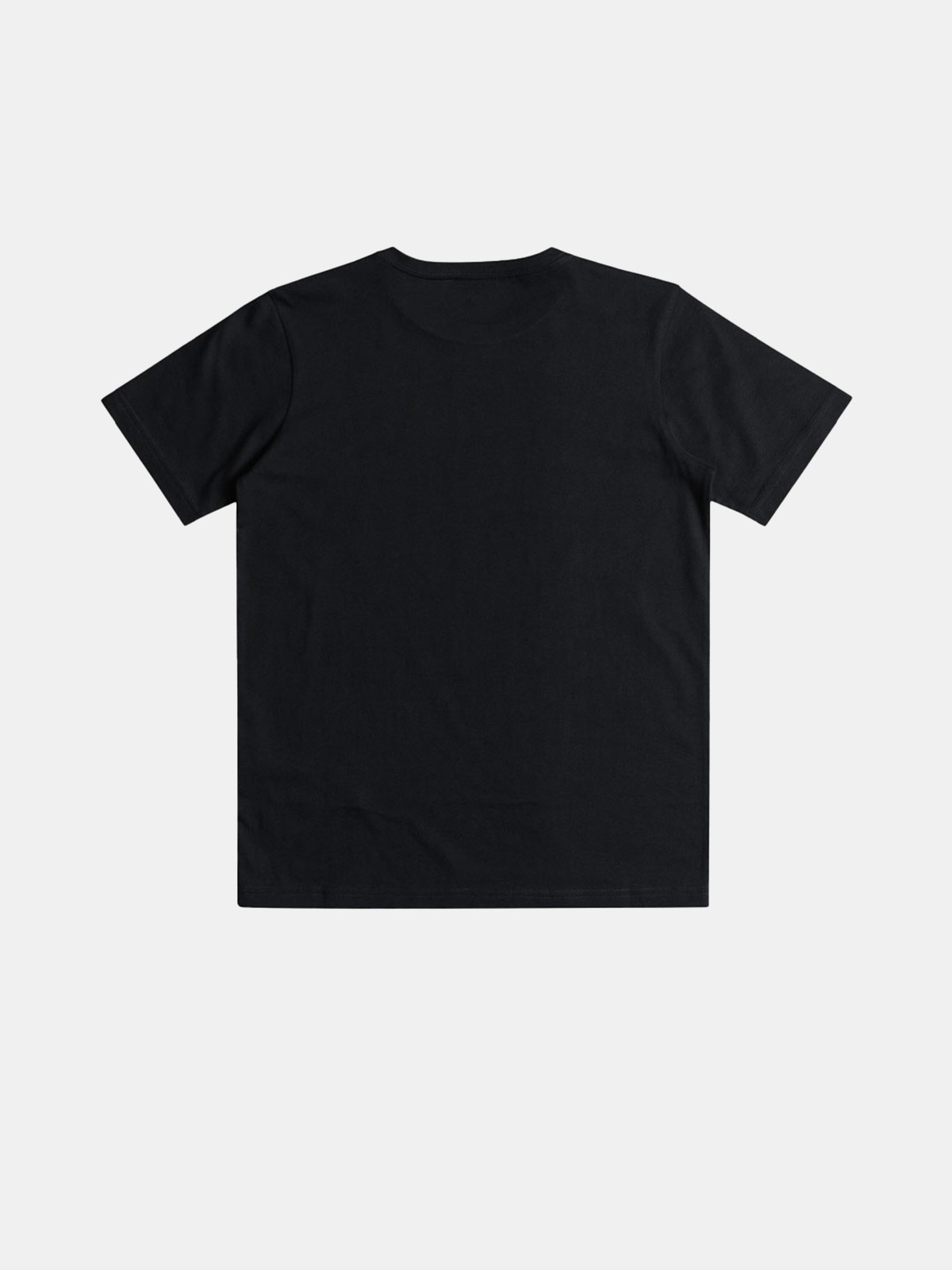 POLO MANGA CORTA ALGODÓN HOMBRE QUIKSILVER - 2
