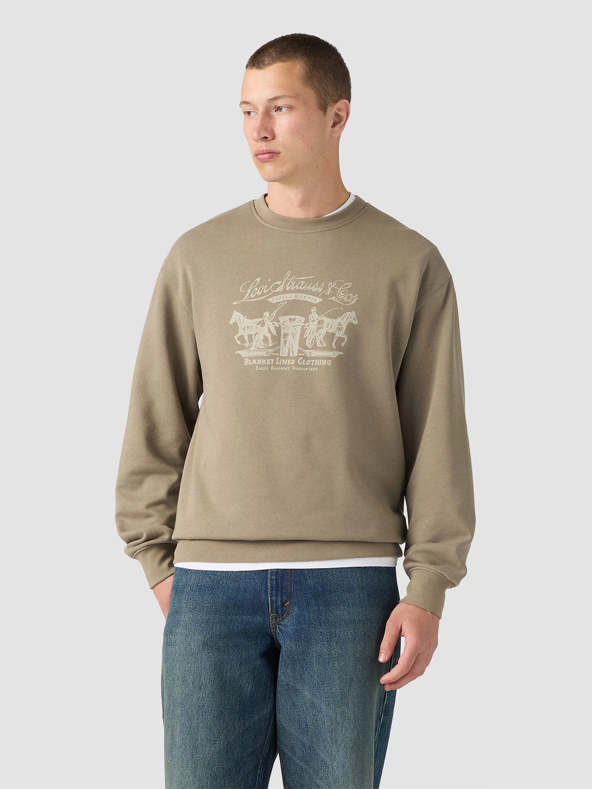 POLERA HOMBRE LEVI'S RELAXED GRAPHIC CREW - 1