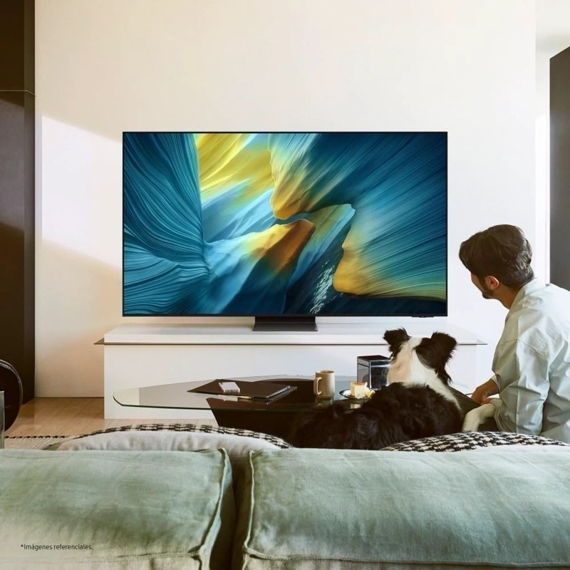 TELEVISOR SMART SAMSUNG OLED 65" S95F VISION AI SMART (2025) - 12