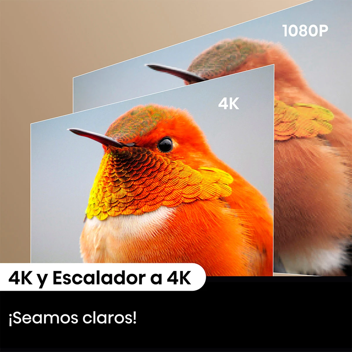 PROYECTOR HISENSE 4K UHD C2 2000 LÚMENES - 7