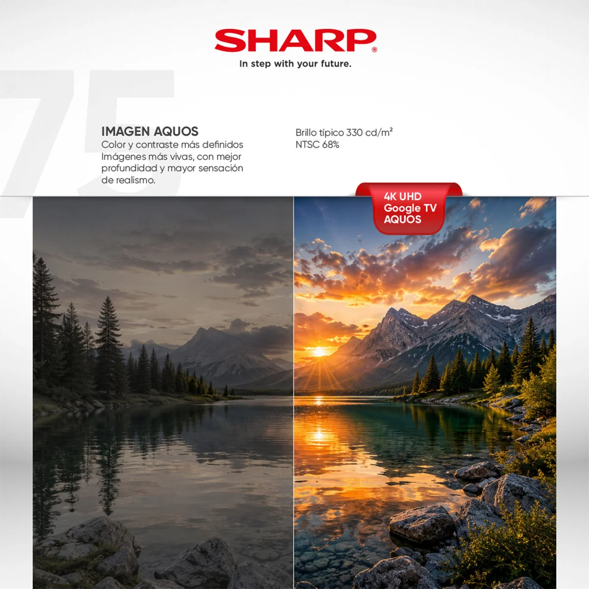 TELEVISOR SMART TV SHARP 4K ULTRA HD 75” 4T-C75GL4060L - 4