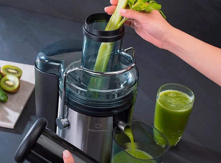EXTRACTOR DE JUGO INDURAMA EICR 800 W - 6