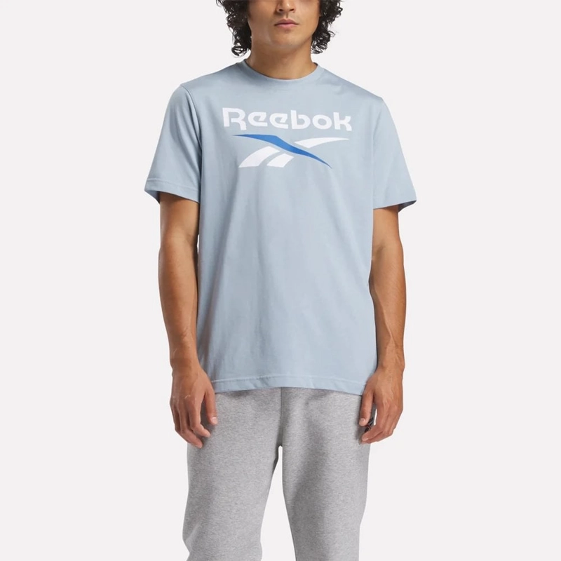 POLO ALGODÓN HOMBRE REEBOK IDENTITY BIG LOGO TEE - 1
