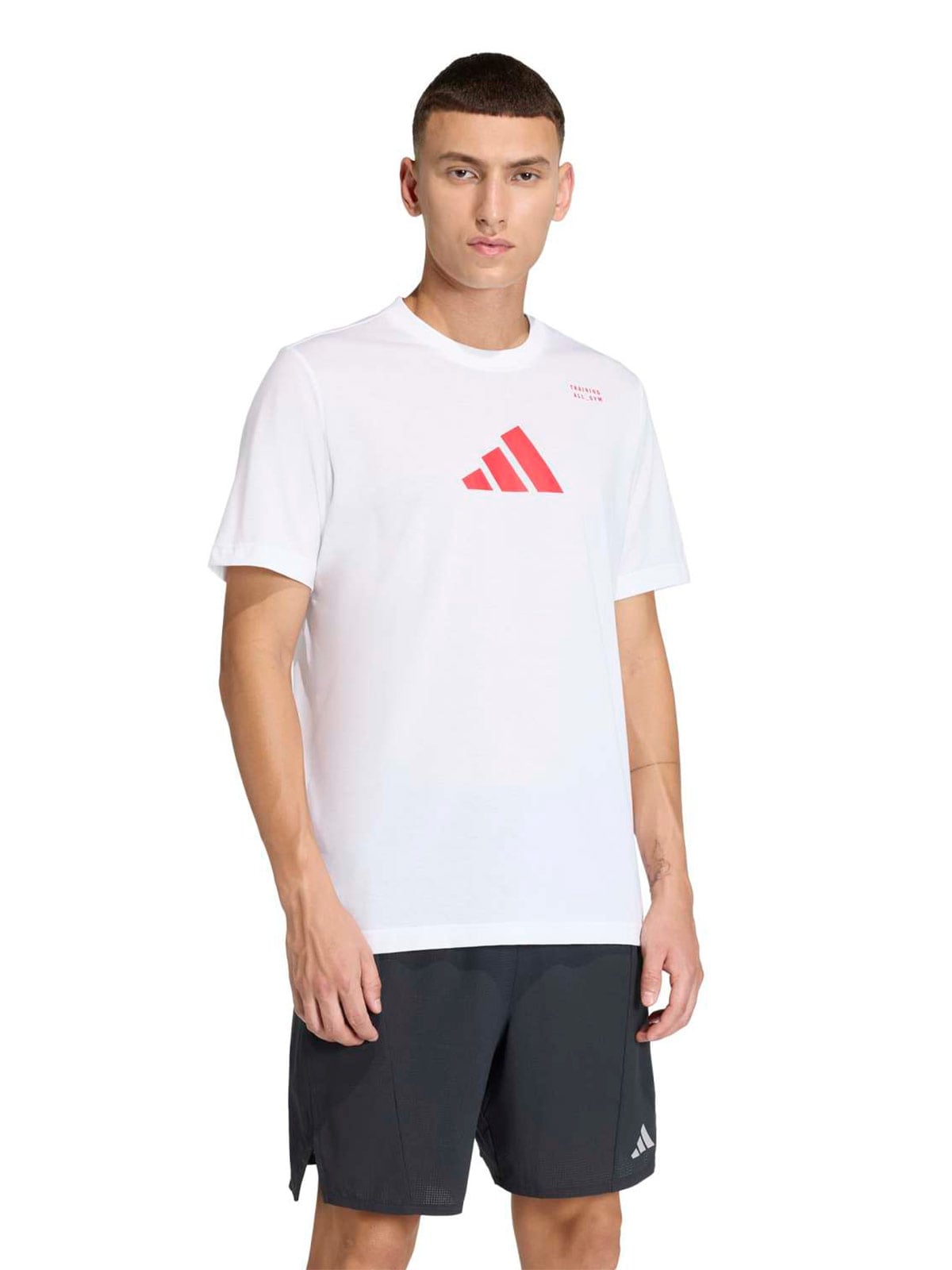 POLERA HOMBRE ADIDAS GRAPHIC CATEGORY CLIMACOOL - 1