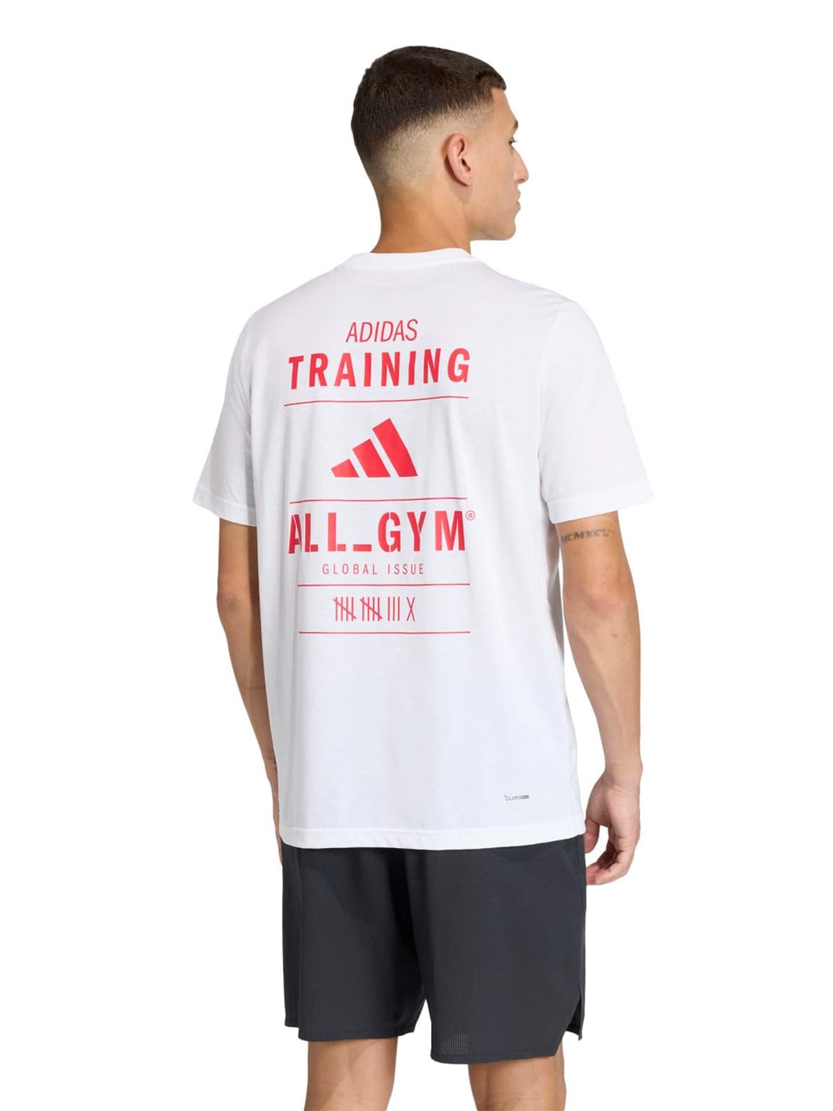 POLERA HOMBRE ADIDAS GRAPHIC CATEGORY CLIMACOOL - 2