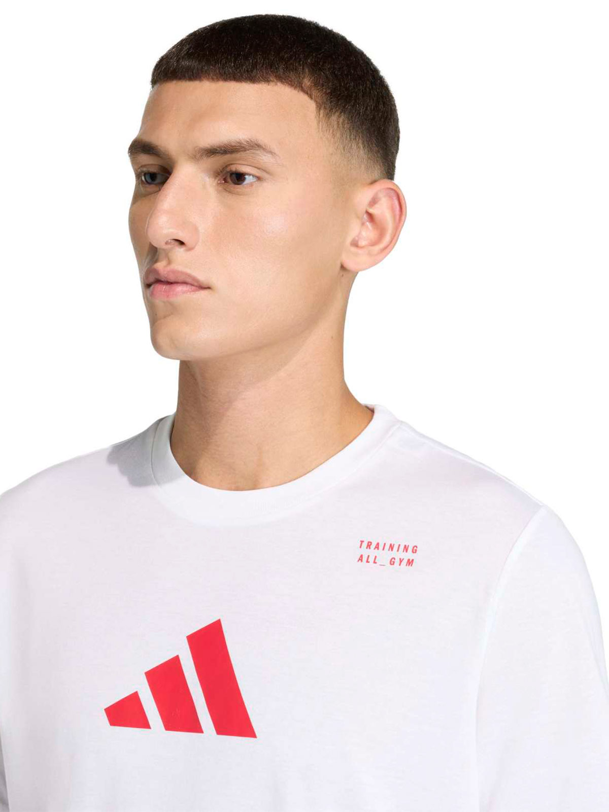 POLERA HOMBRE ADIDAS GRAPHIC CATEGORY CLIMACOOL - 4