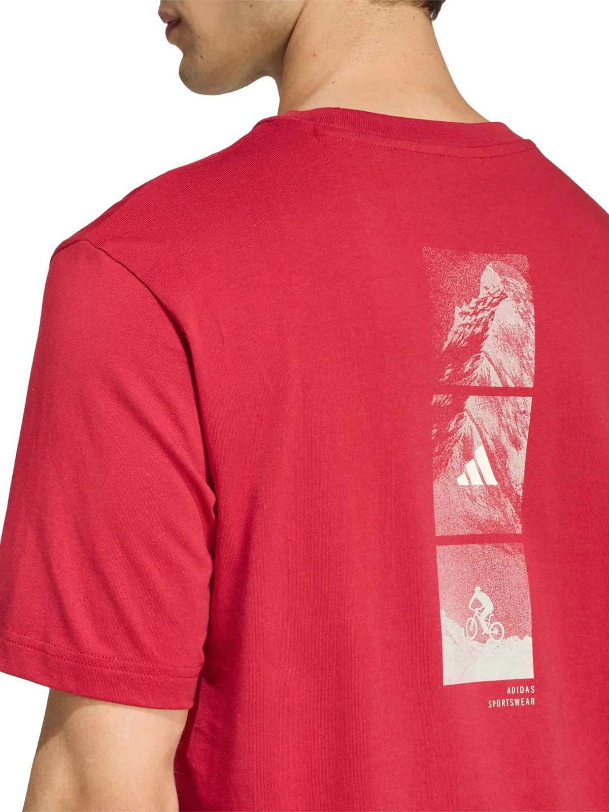 POLO ALGODÓN MANGA CORTA HOMBRE ADIDAS GRAPHIC OUTDOOR MOUNTAIN BIKING - 2