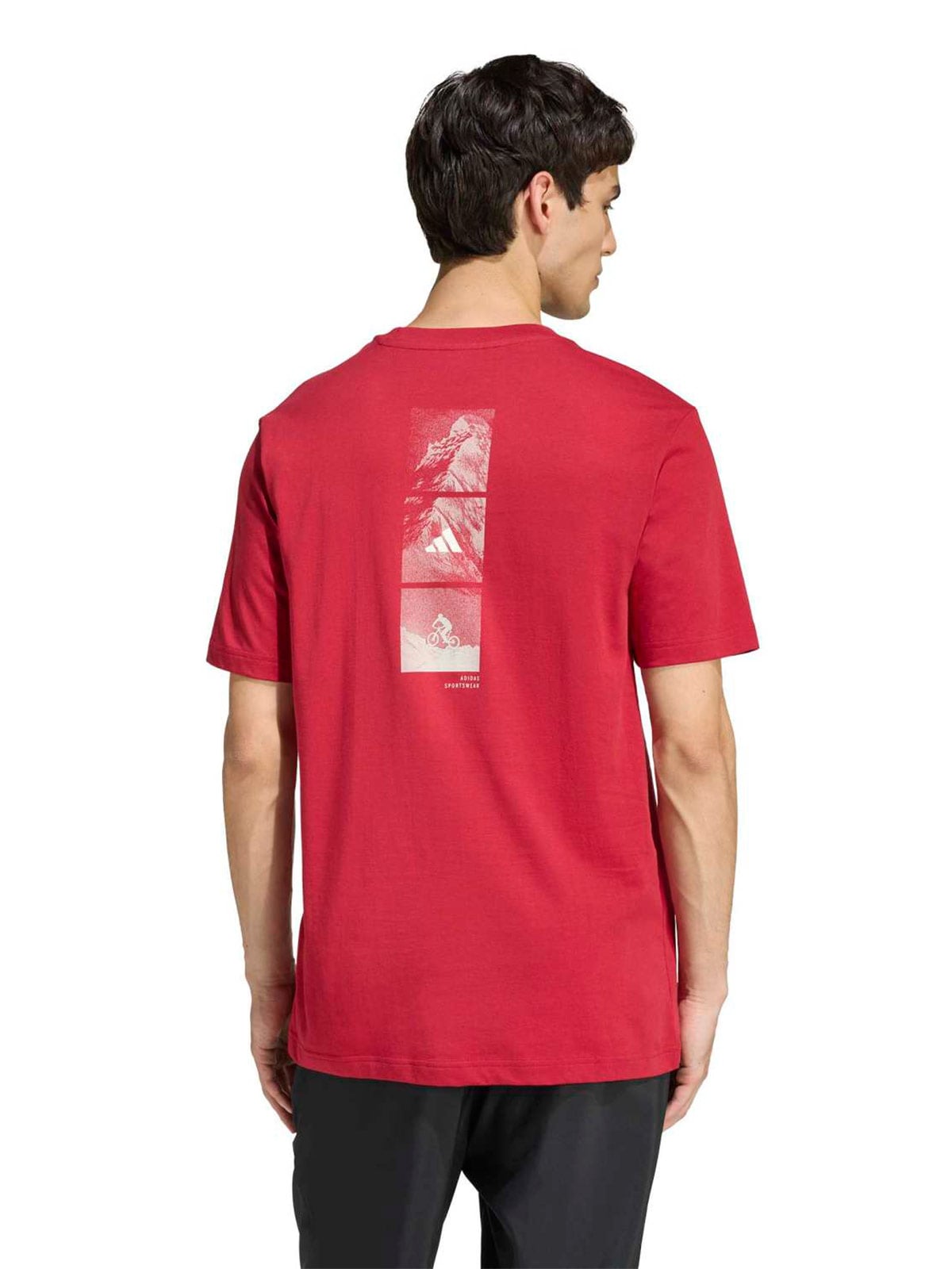POLO ALGODÓN MANGA CORTA HOMBRE ADIDAS GRAPHIC OUTDOOR MOUNTAIN BIKING - 4