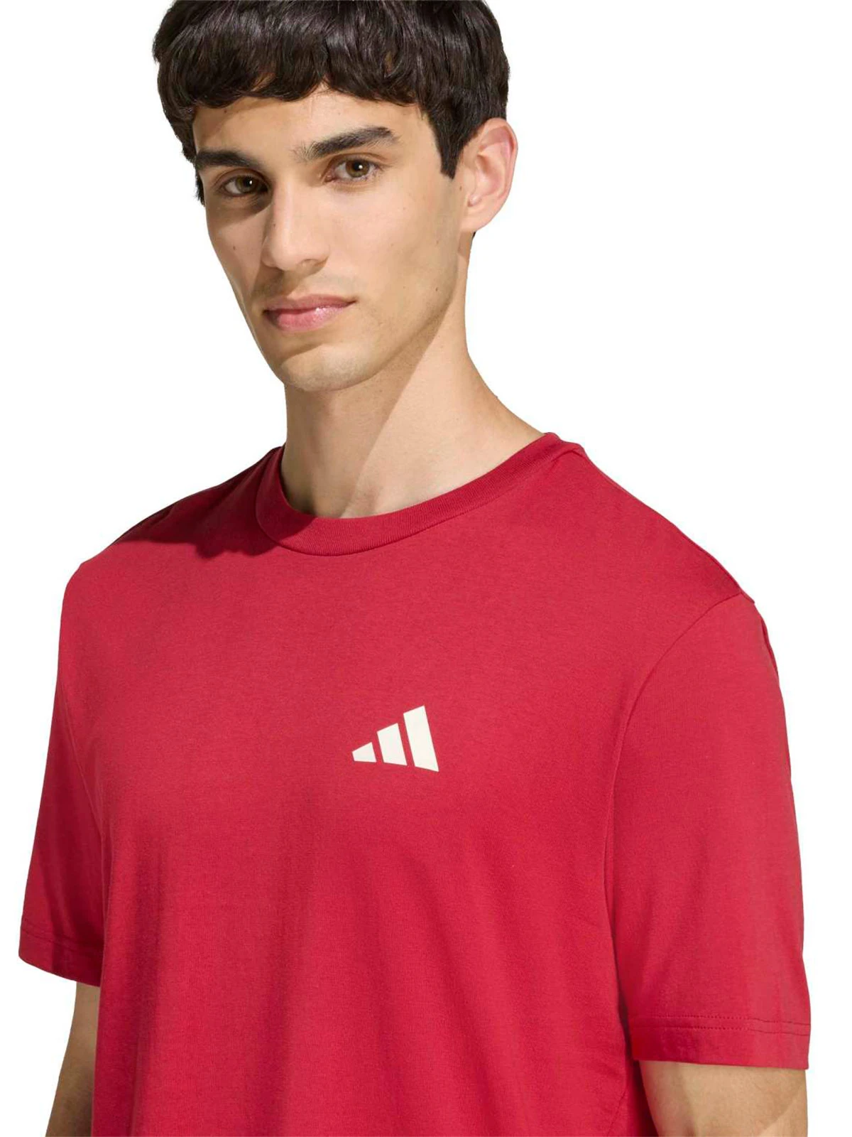 POLO ALGODÓN MANGA CORTA HOMBRE ADIDAS GRAPHIC OUTDOOR MOUNTAIN BIKING - 3