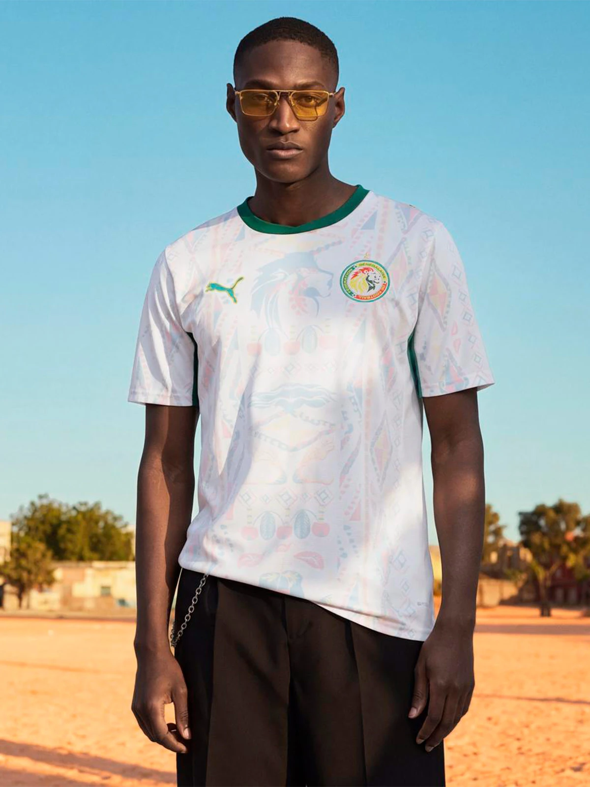 CAMISETA HOMBRE PUMA SELECCIÓN SENEGAL LOCAL - 2