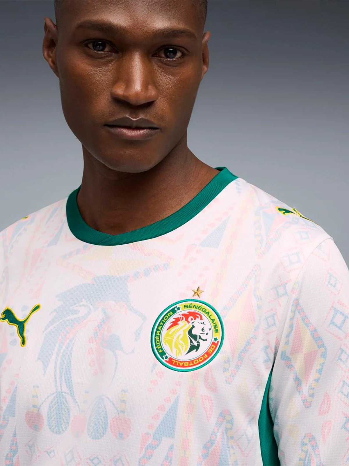 CAMISETA HOMBRE PUMA SELECCIÓN SENEGAL LOCAL - 3