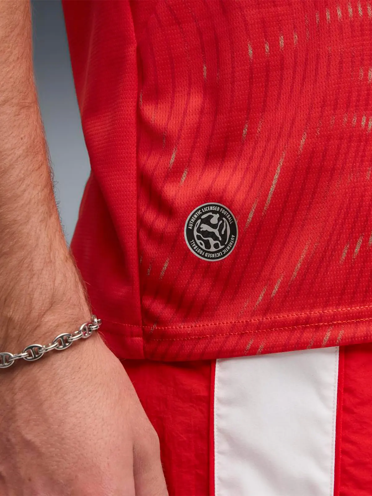 CAMISETA HOMBRE PUMA SELECCIÓN SUIZA LOCAL - 7