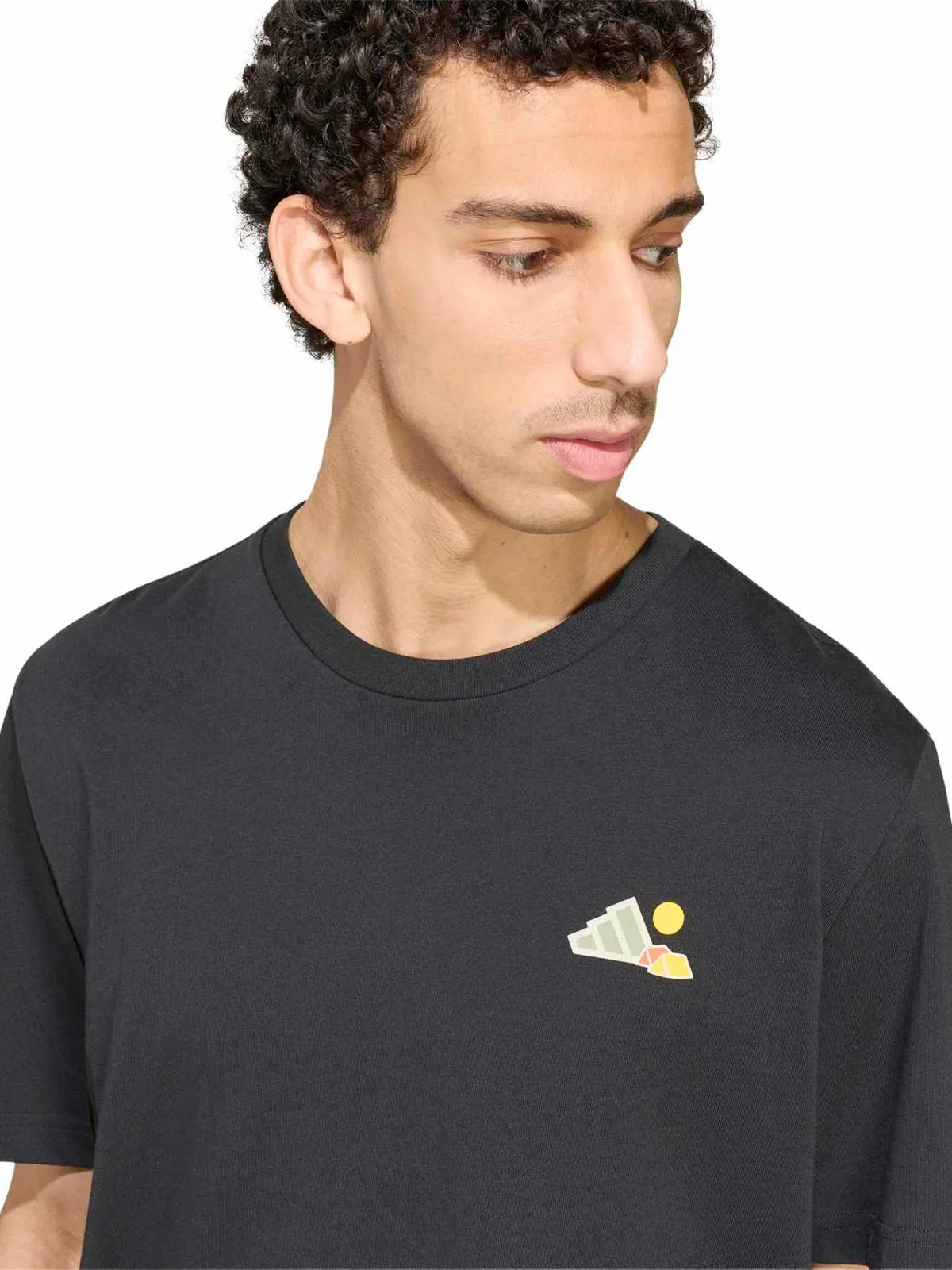 POLO HOMBRE ADIDAS GRAPHIC TERREX - 4