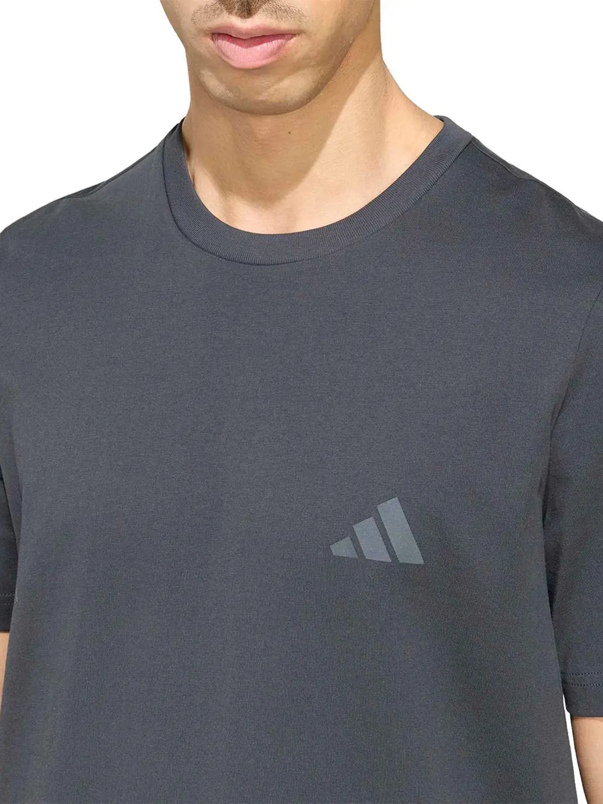 POLO TREKKING HOMBRE ADIDAS TERREX GRAPHIC MOUNTAIN - 4